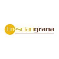 Bresciangrana Srl logo, Bresciangrana Srl contact details