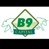 Benign Capital logo, Benign Capital contact details