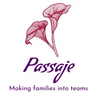 Passaje LLC logo, Passaje LLC contact details