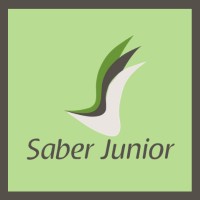 Saber Engenharia Junior logo, Saber Engenharia Junior contact details