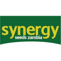 Synergy Seeds Zambia logo, Synergy Seeds Zambia contact details