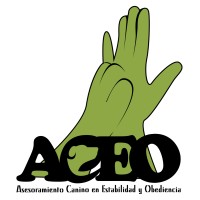 AceoMadrid logo, AceoMadrid contact details