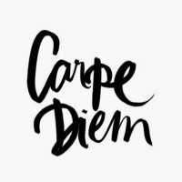 Carpe Diem Store logo, Carpe Diem Store contact details