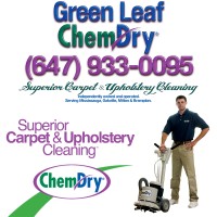 Green Leaf Chem-Dry logo, Green Leaf Chem-Dry contact details