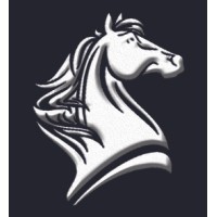 Shadowfax Capital logo, Shadowfax Capital contact details