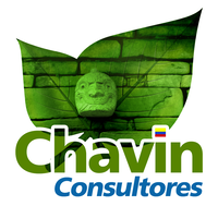 Chavín Consultores logo, Chavín Consultores contact details