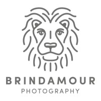 Brindamour Photography logo, Brindamour Photography contact details