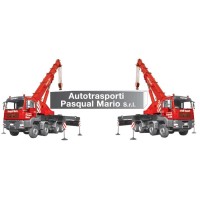 AUTOTRASPORTI PASQUAL  MARIO S.R.L. logo, AUTOTRASPORTI PASQUAL  MARIO S.R.L. contact details