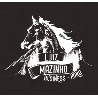 Business Luiz Mazinho logo, Business Luiz Mazinho contact details