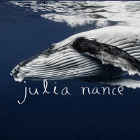 Julia Nance Photos logo, Julia Nance Photos contact details