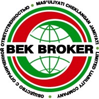 BEK Broker LLC logo, BEK Broker LLC contact details