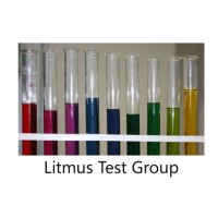 Litmus Test Group LLC logo, Litmus Test Group LLC contact details