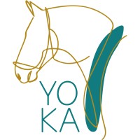 Yoka México logo, Yoka México contact details