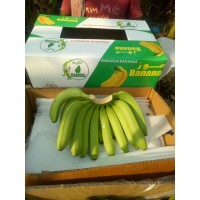 Karmma Banana logo, Karmma Banana contact details