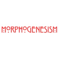 morphogenesism logo, morphogenesism contact details