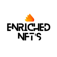 Enriched NFT's logo, Enriched NFT's contact details