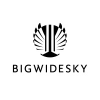 BIGWIDESKY logo, BIGWIDESKY contact details