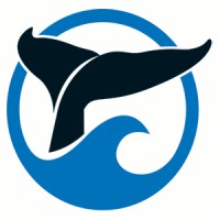 SpringTide Whale Watching & Eco Tours logo, SpringTide Whale Watching & Eco Tours contact details