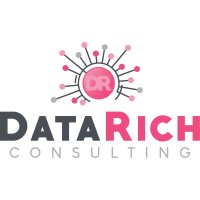 DataRich Consulting logo, DataRich Consulting contact details