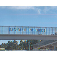 BIG BLUE PICTURES logo, BIG BLUE PICTURES contact details