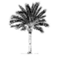 Palmtree Property Management logo, Palmtree Property Management contact details