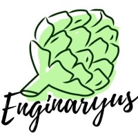 Enginaryus logo, Enginaryus contact details