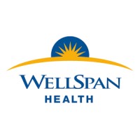 WELLSPAN HEALTH CARE SERVICES logo, WELLSPAN HEALTH CARE SERVICES contact details