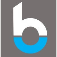 BrikStats Consulting logo, BrikStats Consulting contact details