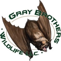 Gray Brothers Wildlife logo, Gray Brothers Wildlife contact details