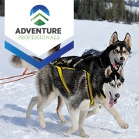 Adventure Professionals logo, Adventure Professionals contact details