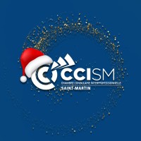 CCI Saint-Martin logo, CCI Saint-Martin contact details