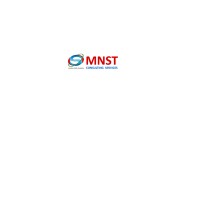 MNST Consulting Services logo, MNST Consulting Services contact details