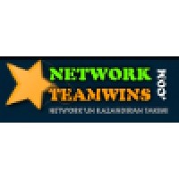 http://www.networkteamwins.com logo, http://www.networkteamwins.com contact details