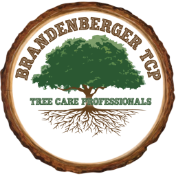 Brandenberger Tree Care Professionals LLC logo, Brandenberger Tree Care Professionals LLC contact details