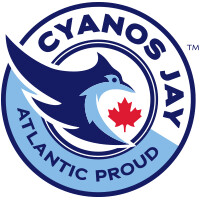 CyanosJay logo, CyanosJay contact details