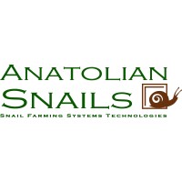 Anatolian Snails logo, Anatolian Snails contact details