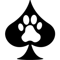 life+poker logo, life+poker contact details