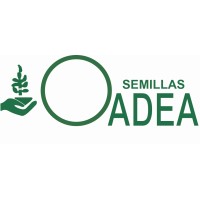 OADEA Semillas logo, OADEA Semillas contact details