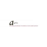 Angelica industries (Nairobi) Ltd logo, Angelica industries (Nairobi) Ltd contact details