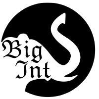 LLC BigInt / ООО 