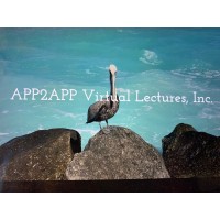 APP2APP Virtual Lectures, Inc. logo, APP2APP Virtual Lectures, Inc. contact details