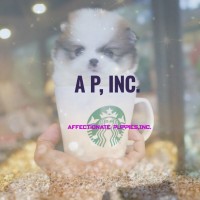 Affectionate Puppies, Inc. logo, Affectionate Puppies, Inc. contact details