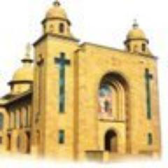 Shrine of Don Bosco's Madonna - India logo, Shrine of Don Bosco's Madonna - India contact details