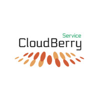 CloudBerryService Inc. logo, CloudBerryService Inc. contact details