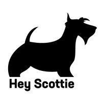 HeyScottie logo, HeyScottie contact details