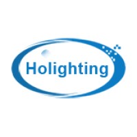 Holighting Electronics logo, Holighting Electronics contact details