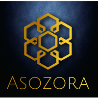 PT Asozora Solutions Indonesia logo, PT Asozora Solutions Indonesia contact details