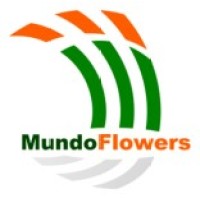 MUNDO FLOWERS logo, MUNDO FLOWERS contact details