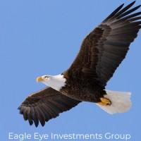 Eagle Eye Investments Group logo, Eagle Eye Investments Group contact details