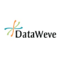 DataWeve LLC logo, DataWeve LLC contact details